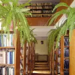 Отделы библиотеки им чавайна, рис.1